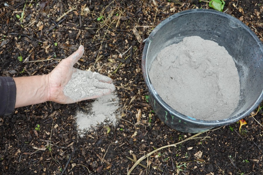 Comment utiliser les cendres de cheminée dans le jardin ?