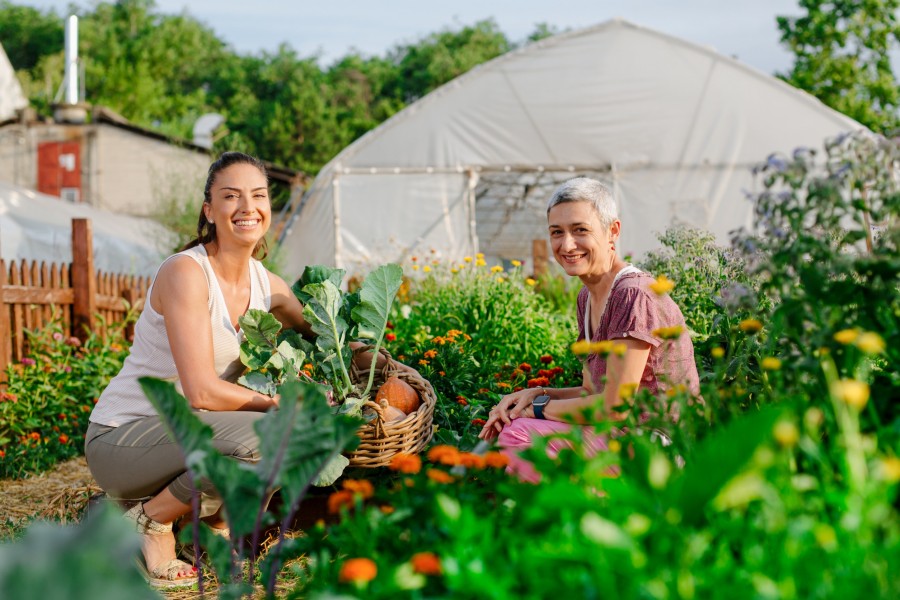 Quels sont les objectifs d'un stage en permaculture ?