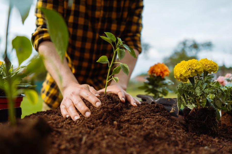 Qu'est-ce que la permaculture et quelle est sa définition ?