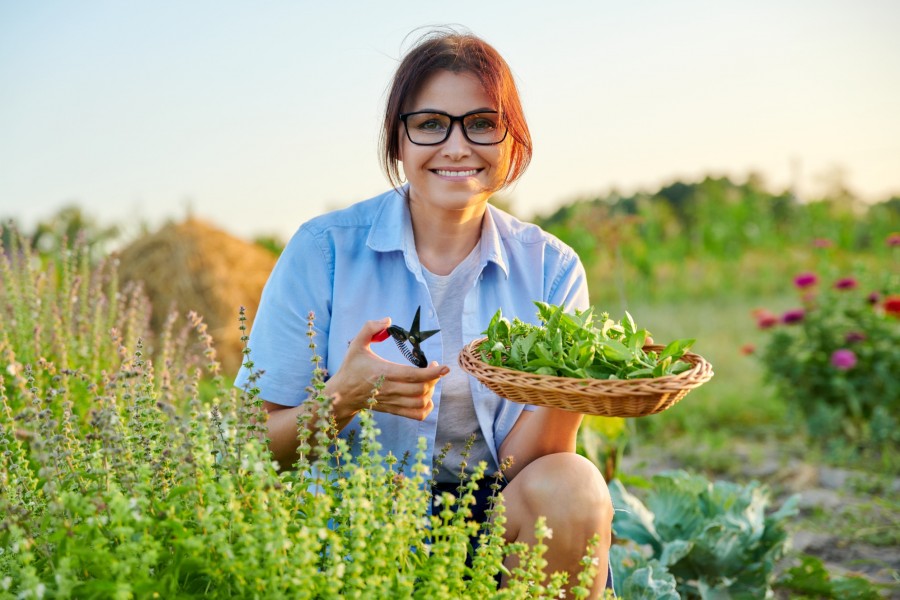 Qu'est-ce qu'un stage en permaculture ?